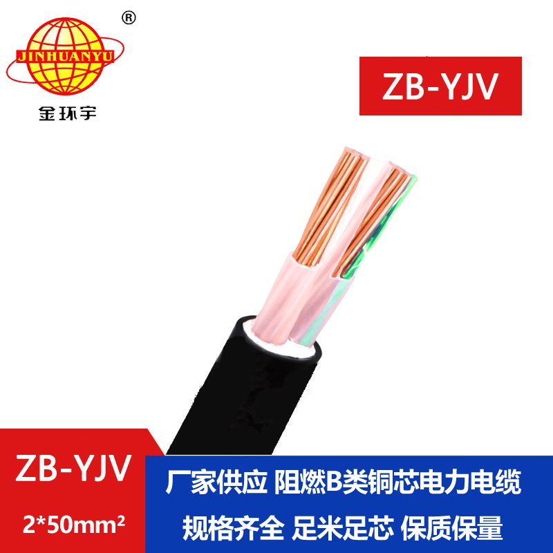 金環宇電纜 yjv阻燃電纜 ZB-YJV2X50平方 二芯yjv電纜