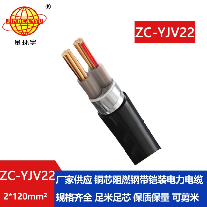 金環宇電纜 ZC-YJV22 2X120平方 交聯阻燃電纜 鋼帶鎧